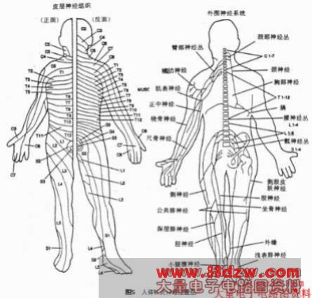 无针电子针灸器的制作